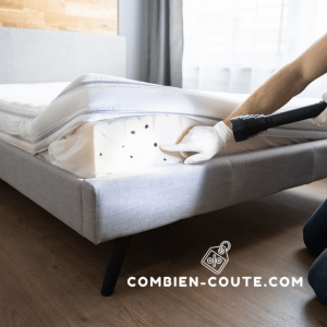 une désinfection de punaise de lit