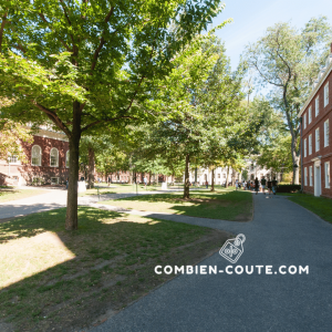 une année à Harvard